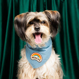 Scout's Honour Rescue Iron-on Patch For Dogs