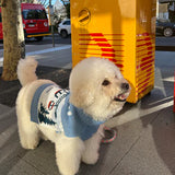 iCandor Aspen Woolies Sweater