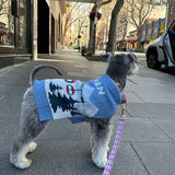 iCandor Aspen Woolies Sweater