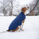 Knotty Pets Reversible Puffy Dog Jacket - Navy and Powder Blue