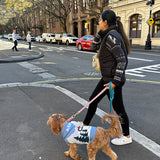 iCandor Aspen Woolies Sweater