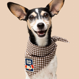 Scout's Honour Sock Thief Iron-on Patch For Dogs