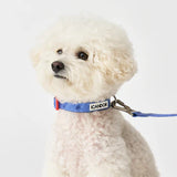 iCandor Capri Waterproof Leash - Outback