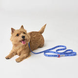 iCandor Capri Waterproof Collar - Outback