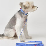 iCandor Capri Waterproof Leash - Outback