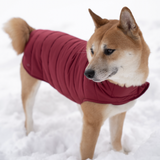 Knotty Pets Reversible Puffy Dog Jacket - Burgundy & Pink