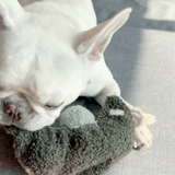 Lambwolf Collective Pea Pop Enrichment Dog Toy