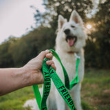 Twiggy Tags Awareness Multi-Way Lead - Do Not Pet
