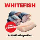 Almo Nature Whitefish & Mackerel in Broth Cat Wet Food Kitten - 70 g