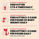 Almo Nature Whitefish & Mackerel in Broth Cat Wet Food Kitten - 70 g