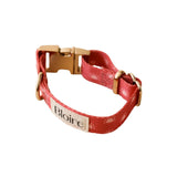 Bloire Bright Sun Cat Collar
