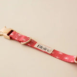 Bloire Bright Sun Cat Collar