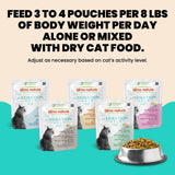 Almo Nature Hydration Help Sardine Recipe in Broth - 50 g