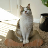 Premium Comfort Curved Cat Lounger