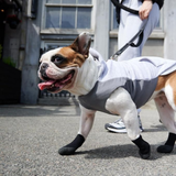 Goo-eez All Season Dog Boots - Camo