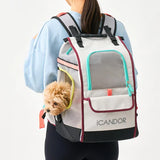 iCandor Jige Backpack Pet Carrier - Misty Grey