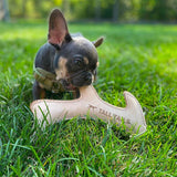 Natural Leather Antler Dog Toy