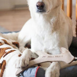 Natural Leather Antler Dog Toy