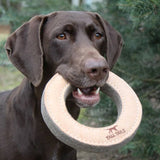 Natural Leather & Wool Ring Dog Toy