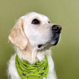 The Paws Grinch Dog Bandana
