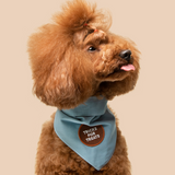 Scout's Honour Tricks for Treats Iron-on Patch For Dogs