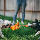 P.L.A.Y Pet Holiday Hound Turkey