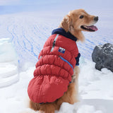 Puppy Gallery Ice Field Color Block Padding - Red & Navy