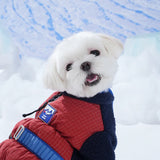 Puppy Gallery Ice Field Color Block Padding - Red & Navy