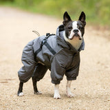 Hugo & Hudson Winter Dog Snowsuit - Grey