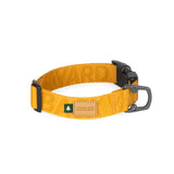 Charlie's Backyard Town Basic Collar - Yellow
