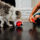 P.L.A.Y. Merry Woofmas Clumsy Claus