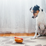 P.L.A.Y. American Classic Hot Diggy Dog