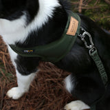 Charlie's Backyard Town Cordura Harness - Khaki