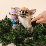 Polkadog Silver & Gold Cod Skins for Dogs & Cats