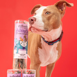 Polkadog Silver & Gold Cod Skins for Dogs & Cats