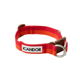 iCandor Gentle Collar - Sunset