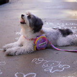 iCandor No Pull Harness - Milky Way