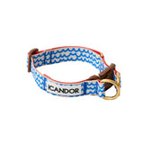 iCandor Gentle Collar - Surfrider