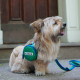 iCandor Dingle Dangle Bag - Forest