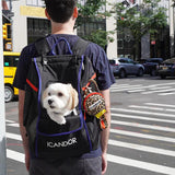 iCandor Jige Backpack Pet Carrier - Dynamic Black