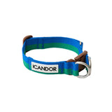 iCandor Gentle Collar - Forest