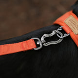 Charlie's Backyard Town Cordura Leash - Orange