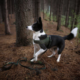 Charlie's Backyard Town Cordura Harness - Khaki