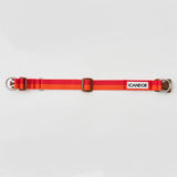 iCandor Gentle Collar - Sunset