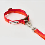 iCandor Gentle Collar - Sunset