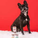 Polkadog Stocking Stuffer Chicken Recipe Dog Treat