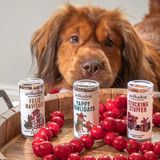 Polkadog Yappy Howlidays Duck Recipe Dog Treat