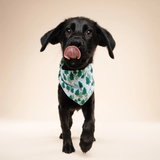 The Paws Woods Dog Bandana