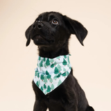 The Paws Woods Dog Bandana