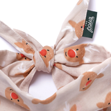 The Paws Rudolph Dog Bandana